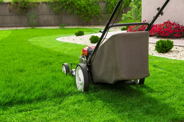 Home Yard Maintenance in Kennesaw