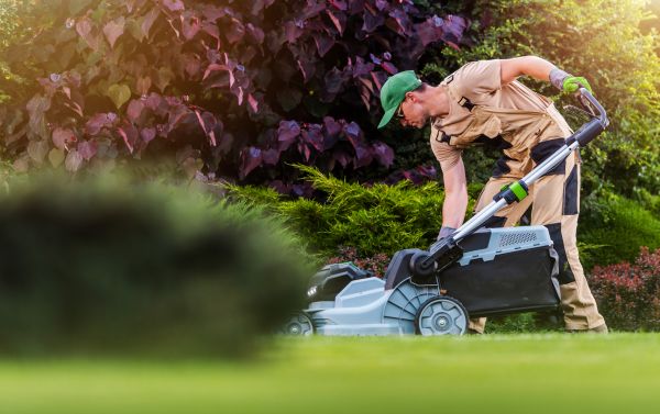 Lawn Care And Maintenance in Kennesaw