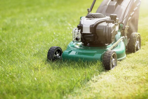 Cost of Yard Cutting in Kennesaw