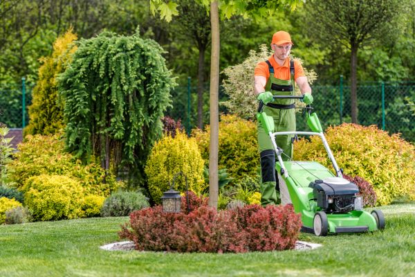 Cost of Yard Service in Kennesaw