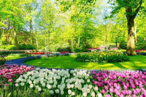 Spring Lawn Care in Kennesaw