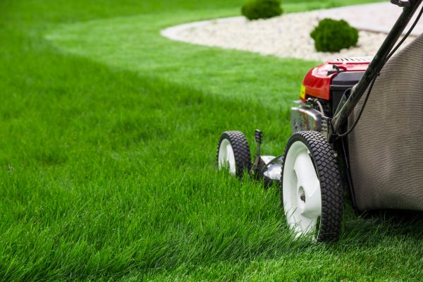 Cost of Lawn Service in Kennesaw