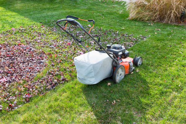 Cost of Seasonal Lawn Care in Kennesaw