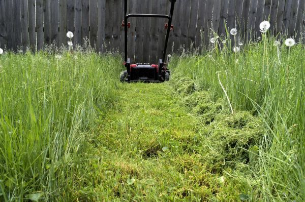 Cost of High Grass Mowing in Kennesaw