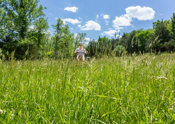 Cost of Long Grass Mowing in Kennesaw