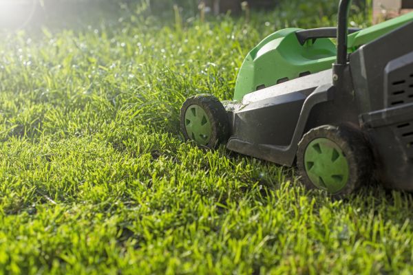 Cost of Lot Mowing in Kennesaw