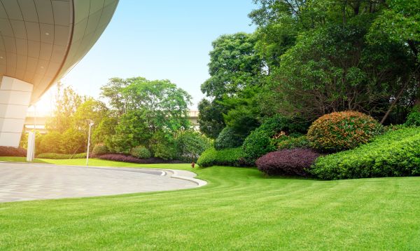Cost of Business Groundskeeping in Kennesaw
