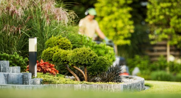 Cost of Residential Yard Maintenance in Kennesaw