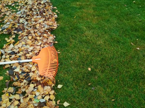 Cost of Fall Lawn Care in Kennesaw