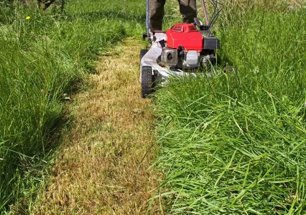 Cost of Leaf Mowing in Kennesaw
