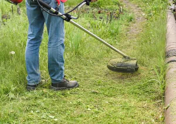 Cost of Tall Grass Trimming in Kennesaw