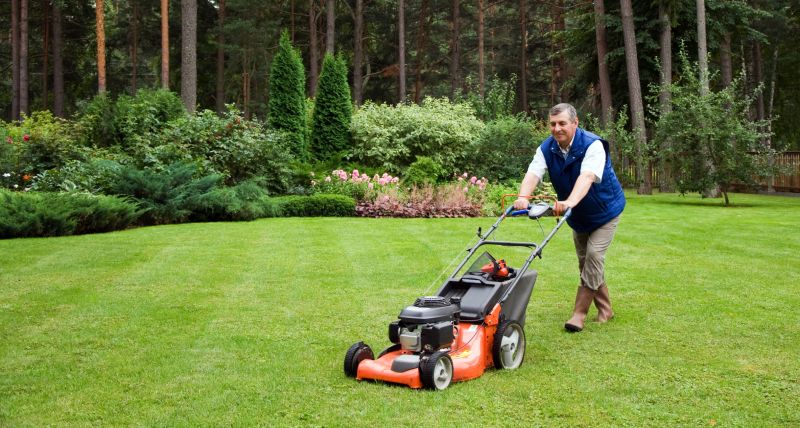 Business Lawn Maintenance detail