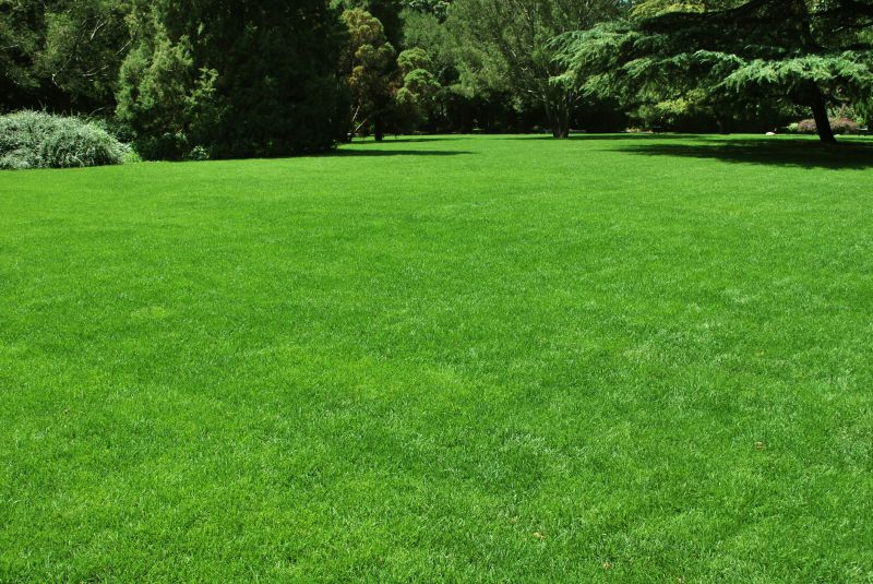 Weekly Lawn Care detail