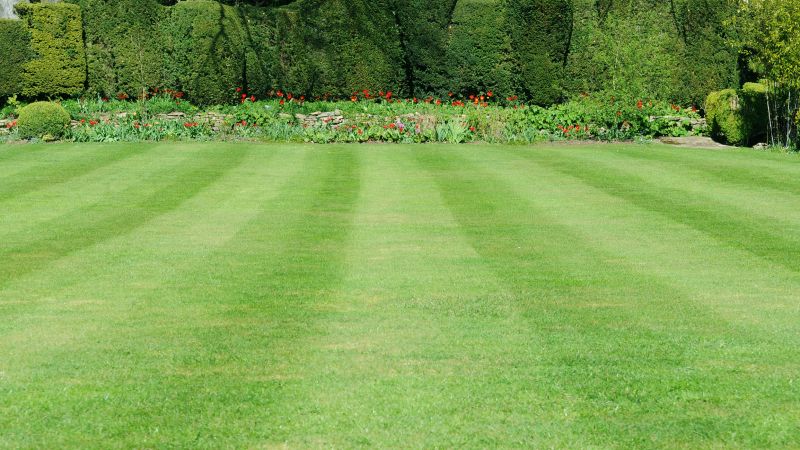 Trimmed and Edged Lawns